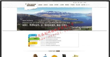 閔行企業網站建設 選擇專業設計，賦能上海企業發展